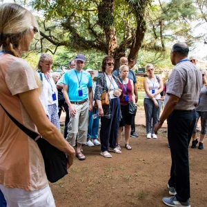 Group tour