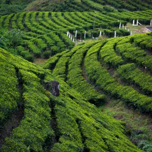 Explore world-famous sights and hidden gems carefully selected for this itinerary.