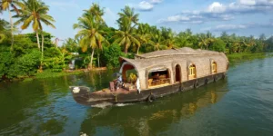 Golden Triangle with South India